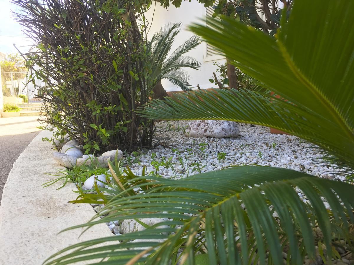 Anacasa Oasis Beach II Marineta Ap2116 เดเนีย ภายนอก รูปภาพ